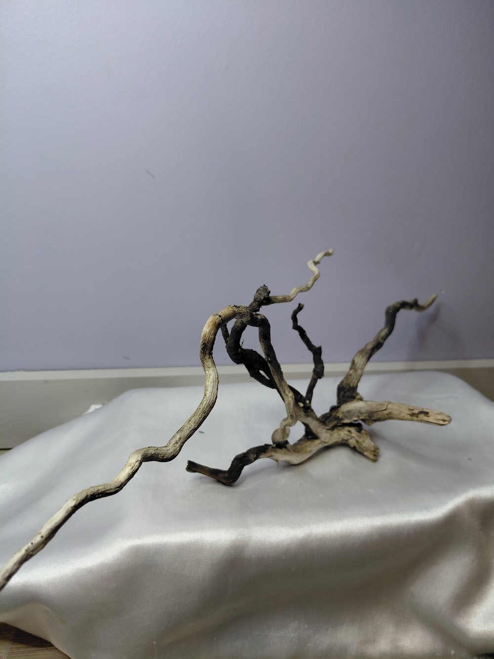 CRAFT Natural Driftwood Decorative Branches - Picture 9 of 10